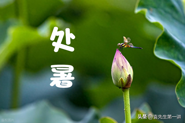 “冷不冷，就看处暑”，今日处暑，今年冬天会很冷吗？看农谚咋说