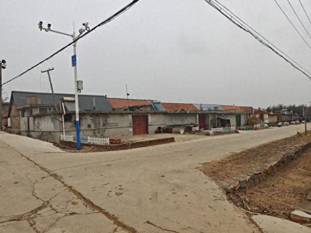 探访“小米公司不让卖小米”涉事村庄，村民：不种小米，冯书记直播帮我们卖菜卖鸡蛋	，不收钱