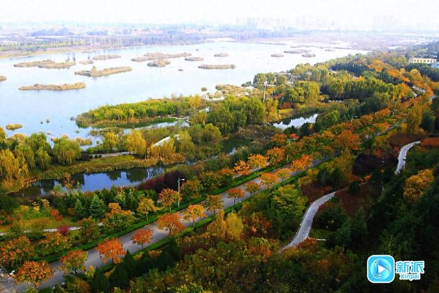 在潍坊汶河岸边，来一场最美的遇见！