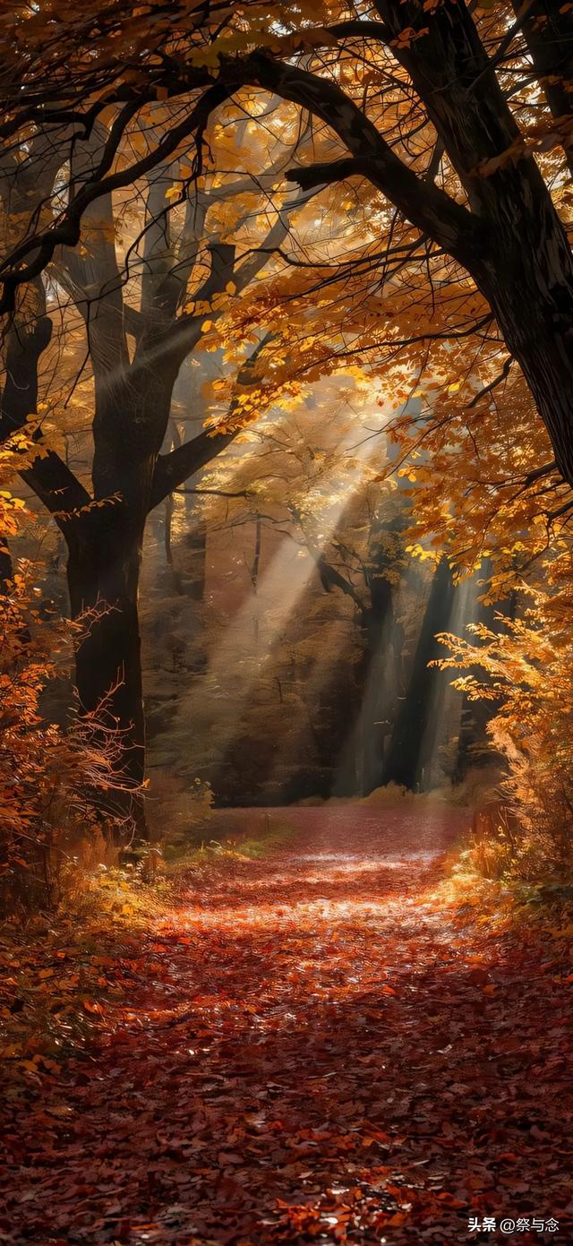 爱,是那碗深夜的醒酒汤