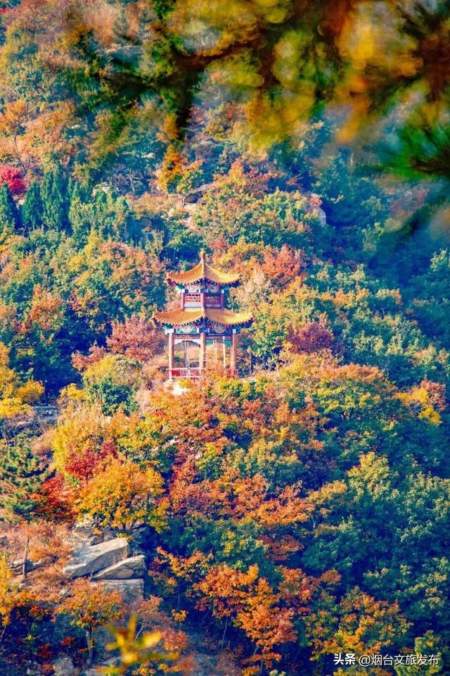 【乐游烟台】太出片了！快来烟台磁山解锁专属红色浪漫！