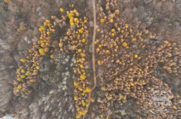 聚焦G334｜串珠成链！解锁这段路上绿色文旅的“全线滚烫”！