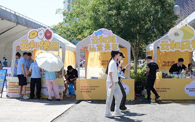 丽水云和：文旅进校园 青春活力促发展