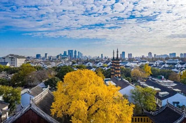 苏州处处的皆景！美！美！美！