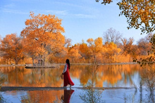 甘肃秋日限定丨三色交织的视觉盛宴，邂逅最诗意的陇原！