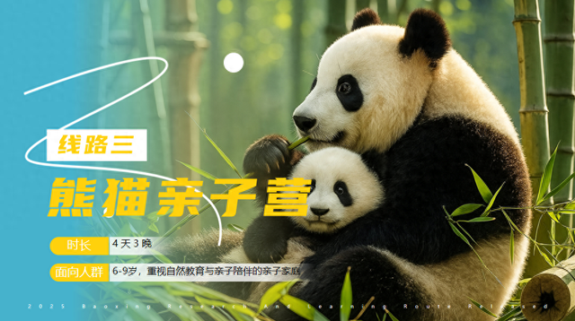 以熊猫为邻，与孩子交心，让亲子关系回归本真