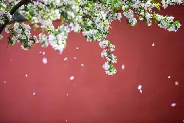 当一人熬过了最艰难的日子语录（熬过所有难走的路）