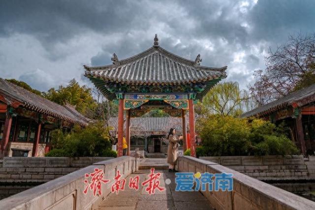 济南趵突泉万竹园：玉兰盛放映古建 春色满园醉游人