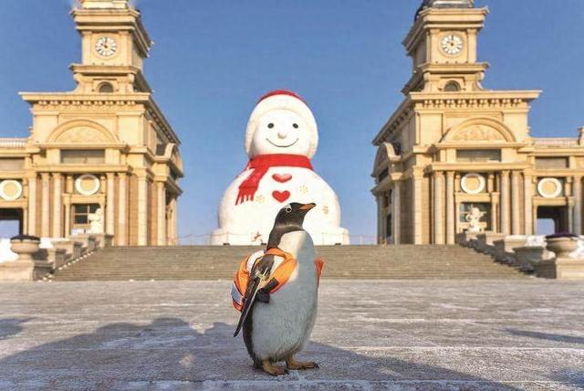 100天！“赏冰乐雪在龙江”