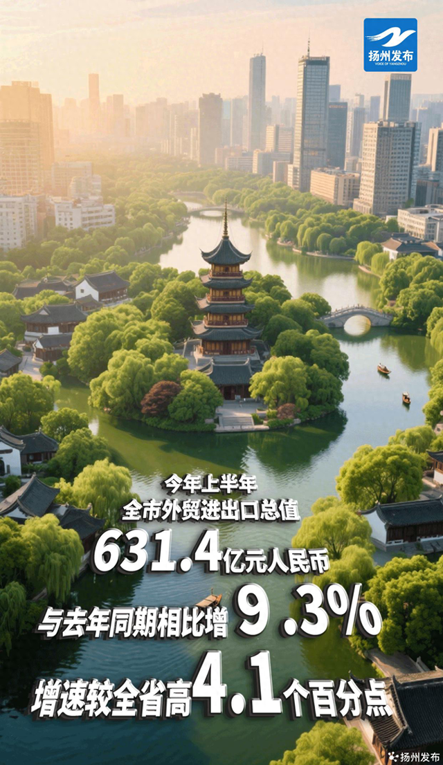 扬州外贸网站建设（AI海报｜扬州上半年外贸进出口成绩单出炉）
