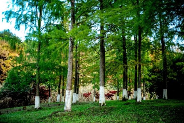 这个“名牌加身”的西南山城，正适合淡季来玩！