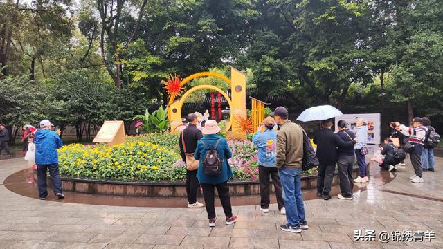 菊韵蓉城秋意浓 人民公园菊花赏花盛宴启幕
