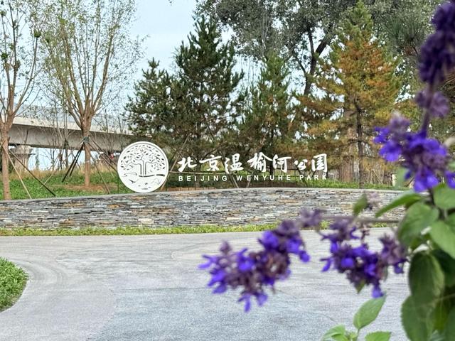 假日游客已破万！温榆河公园二期成新晋“网红打卡地”