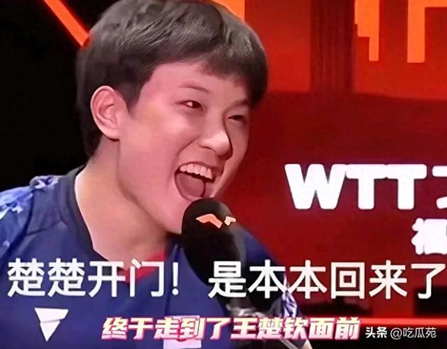 笑不活了！如果你不开心的话 就去张本智和评论区吧，快把我笑趴了