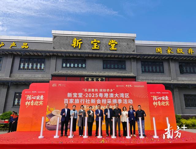 新会柑采摘季启幕！湾区文旅融合“柑”之如饴