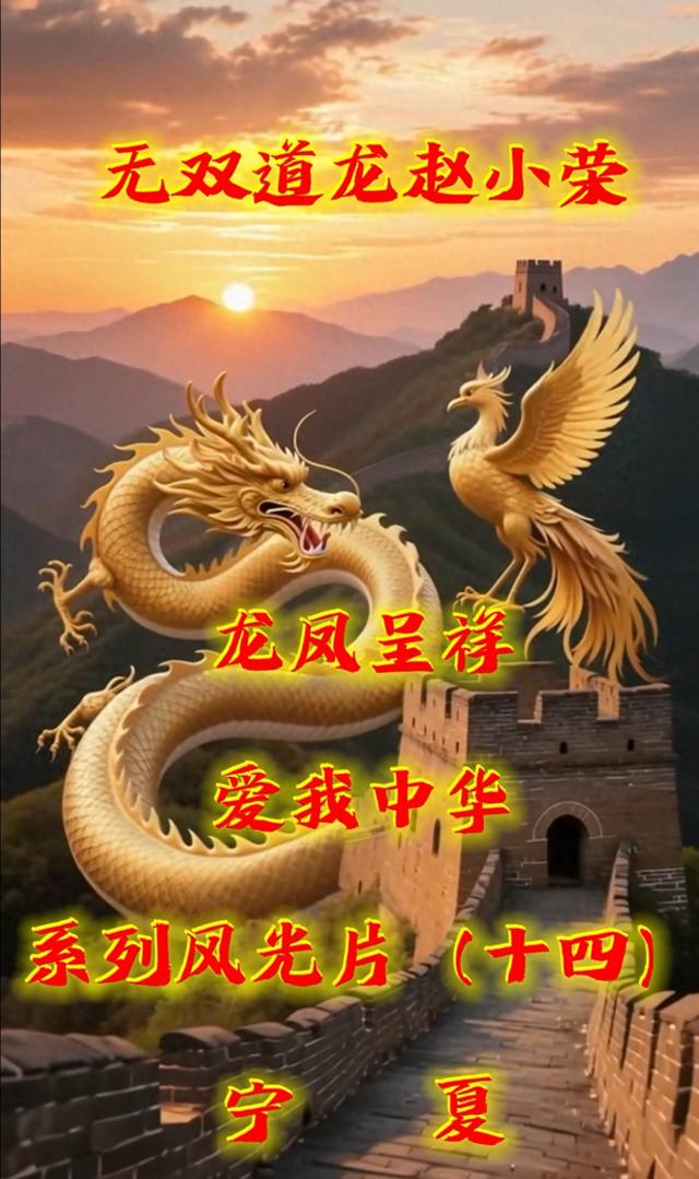 从《龙凤呈祥爱我中华》（十四）读懂宁夏的壮美与深情