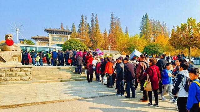 千车万人争打卡，沂蒙山龟蒙景区涌现初冬旅游热潮