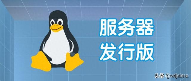 2025 年 10 个最佳 Linux 服务器发行版
