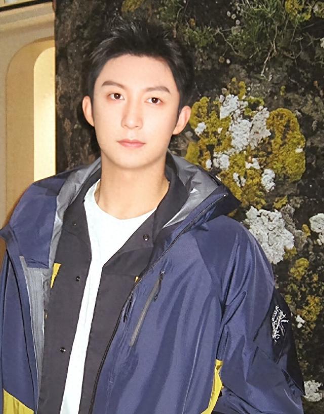 人前光鲜人后心酸	，33岁身体出问题的黄景瑜，揭露了内娱的另一面