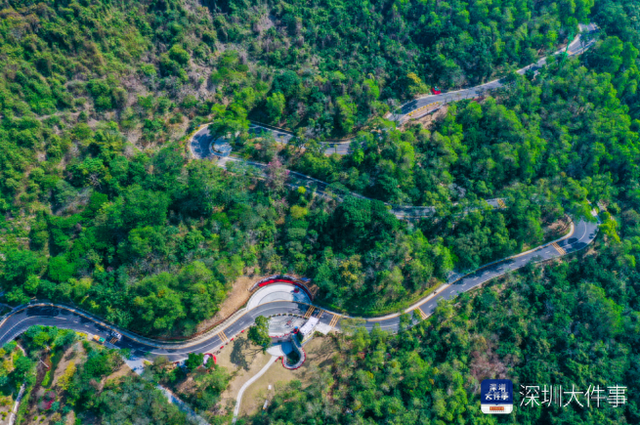 深圳公交开通多条骑行专线背后，让全民在山海之间，骑乐无穷