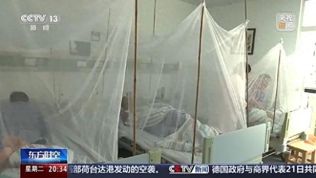 广东基孔肯雅热确诊2659例，定点收治机构加装蚊帐，核酸检测阳性需住院，专家：疫情防控正处关键时期