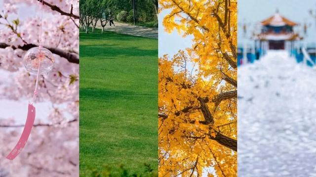 市南的2026，应该这样过...