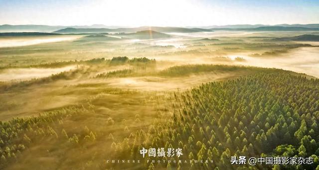 林树国｜塞罕坝林海之歌