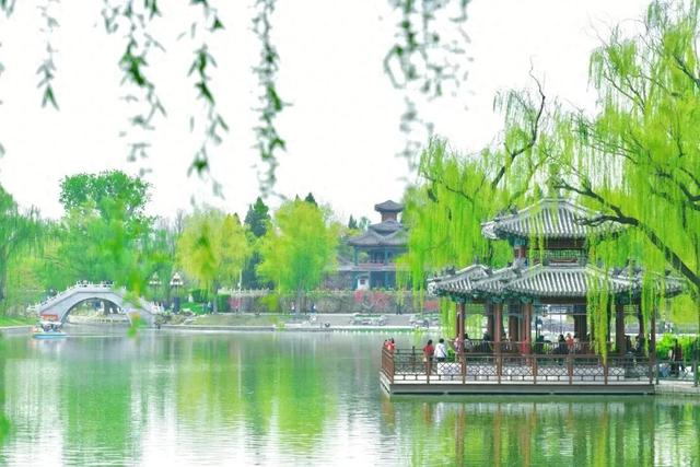 逛西城，到陶然亭公园打卡“隐藏点位”——