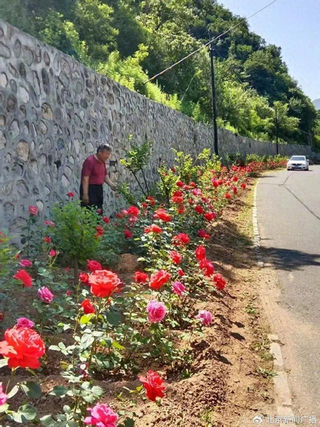 被洪水冲走失联19天后，北京一村干部遗体被找到
