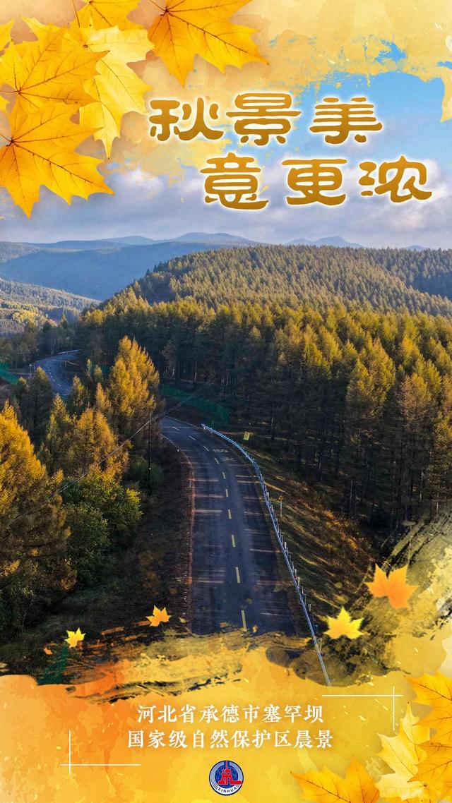 （图表·海报）秋景美 意更浓（6）