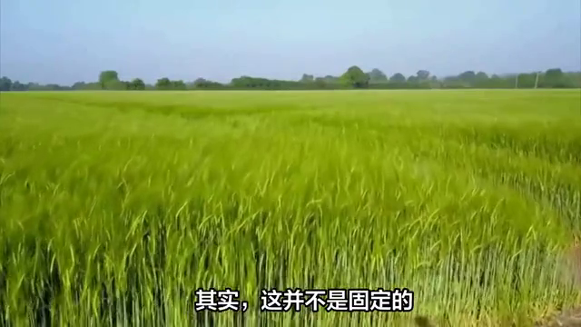 想知道一亩地到底是多大吗？科普一下，一亩地到底是几米x...