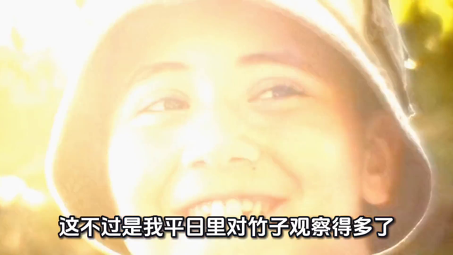 成语故事《胸有成竹》