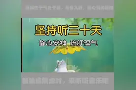 静心30天，疏肝理气，神清气爽#五音疗疾#失眠多梦#抑...图片