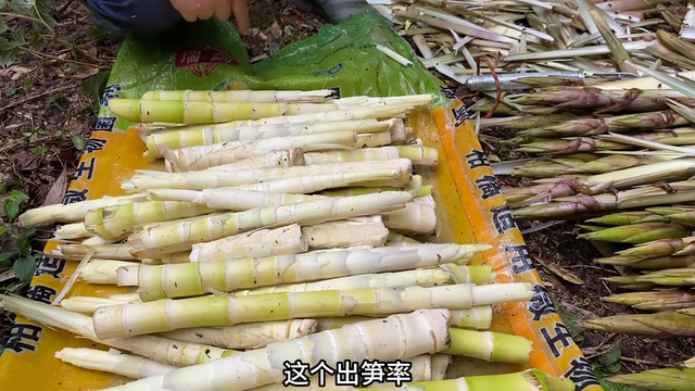 竹笋快速去壳有技巧，方法很简单，看一遍就会