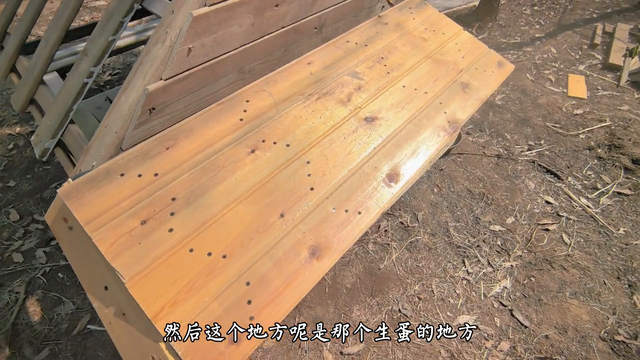 造个移动鸡窝，带着小鸡去旅行#农场