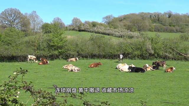 飞天茅台，典当价惊现三位数！黄牛哭晕，老板们坐不住了！