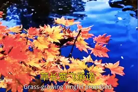 ‌《落》这首歌曲表达了一种失落孤独和无助的情感图片