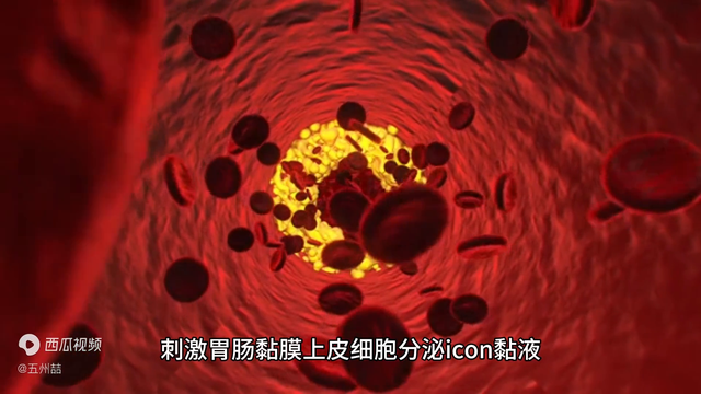 荊花胃康胶襄的功效与成份 2026年荆花胃康胶囊的作用