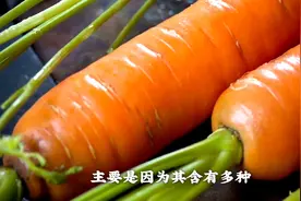 为什么胡萝卜深受大家喜爱？图片