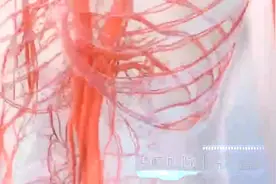 360男士能量养护内裤 #本草纲目男士图片