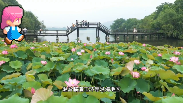 【天气预报 浙江12月26日，晴好天气，快安排上！】。