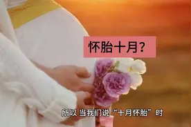 冷知识：怀孕到底是几个月？图片