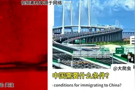 国外网友看中国超级工程，各种评论都有，移民中国需要什么...图片