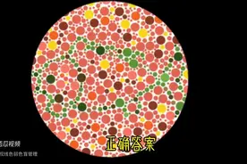 色盲色弱模拟测试图分享，你们看对几张呢？图片