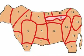 牛身上哪个部位的肉最贵？可以怎么吃？图片