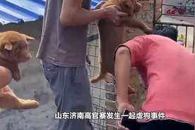 小狗被鞭炮炸得惨叫连连，场面太残忍图片