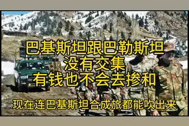 巴基斯坦也没有重装合成旅，买不起也养不起，只有合成旅图片