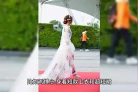 明星红毯走光有多尴尬？十八线女星摔出一个吸奶器，抠出梦...图片