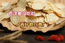 西洋参吃不对，再好都白费！西洋参应该怎么吃？#创作灵感图片