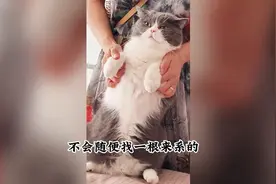 为什么很多女孩子喜欢在脚上系根红绳？图片
